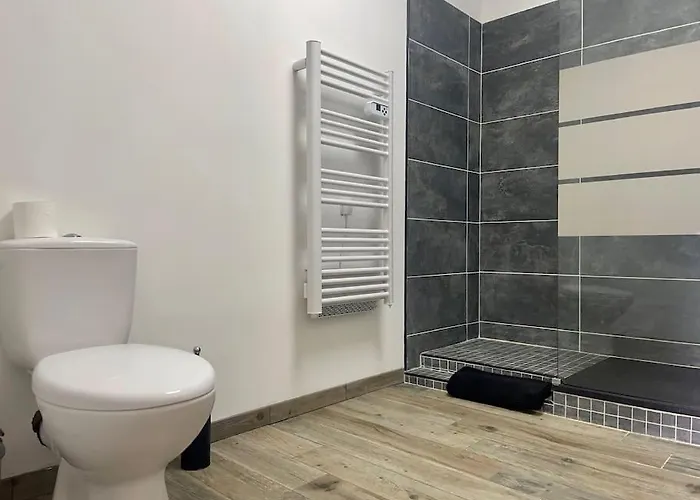 Chez Pierrot - Pont-neuf - Vue Cite Medievale Daire Carcassonne